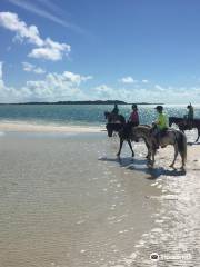 TCI Heritage Horseback Riding & Tours