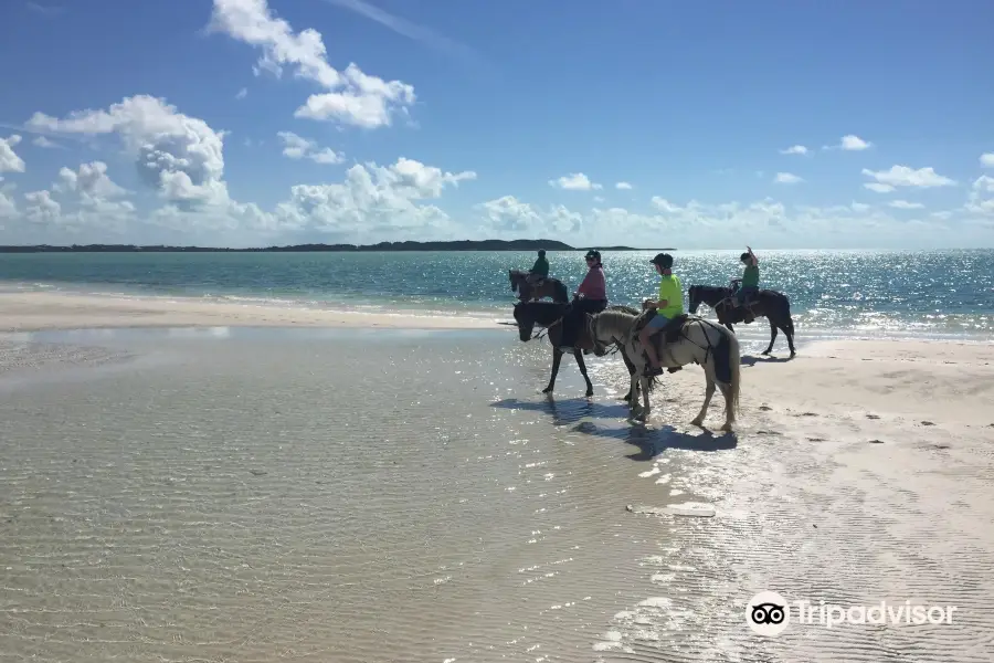 TCI Heritage Horseback Riding & Tours