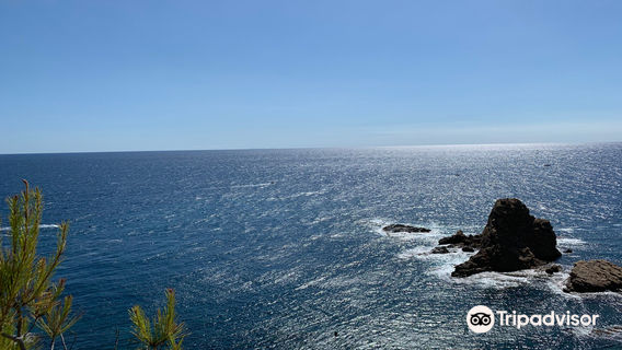 Cala Sardinera