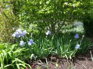 Springfield Botanical Gardens at Nathanael Greene/Close Memorial Park