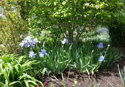 Springfield Botanical Gardens at Nathanael Greene/Close Memorial Park