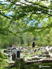 Oropa's botanic garden