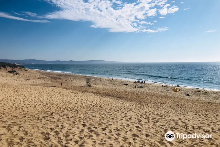 Marina State Beach