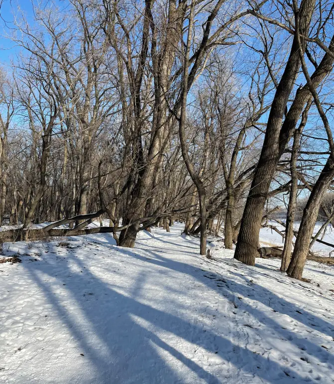 Mendota Heights