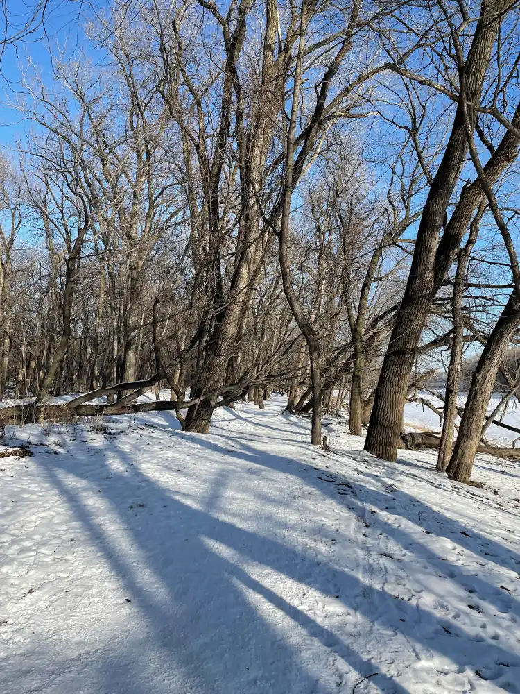 Mendota Heights