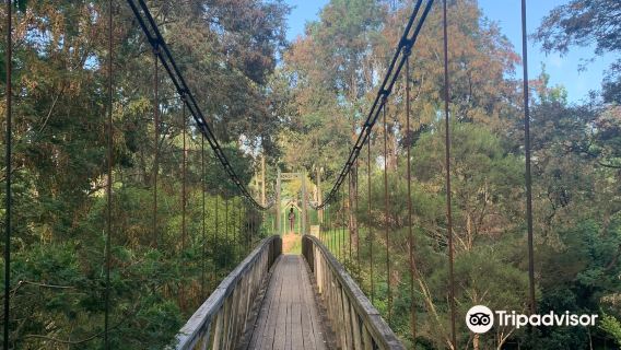 Loch Suspension Bridge