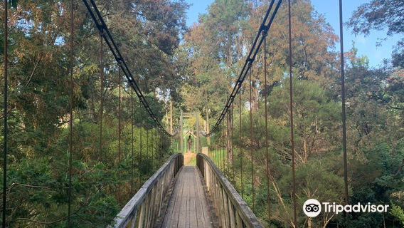 Loch Suspension Bridge