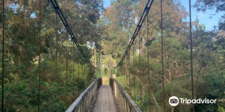 Loch Suspension Bridge
