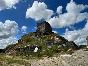 Château de La Roche-Maurice