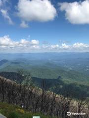 Wayah Bald Lookout Tower