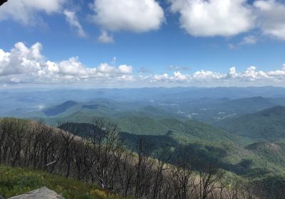 Wayah Bald Lookout Tower