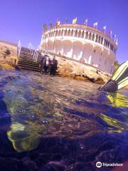 Snorkeling Catalina