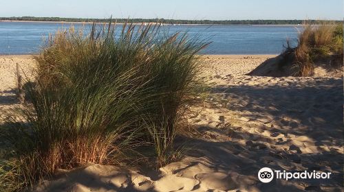 Plage de l'Embellie