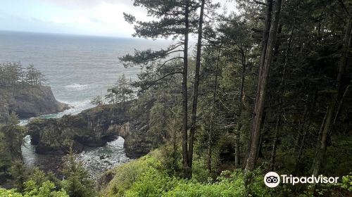 Natural Bridges