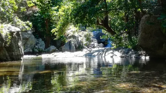 Parco Fluviale del Vergari