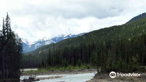 Kicking Horse River