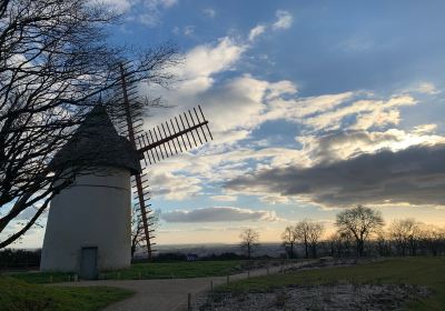 Le Mont Des Alouettes