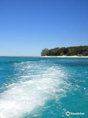 Lady Musgrave Island