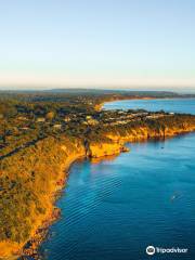 The Pillars at Mount Martha