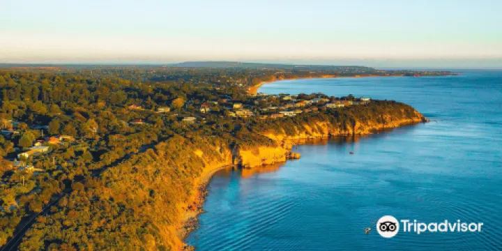 The Pillars at Mount Martha