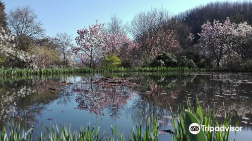 Parco Viatori / Giardino Delle Azalee