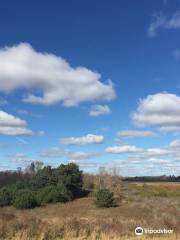 Woodland Dunes Nature Center & Preserve