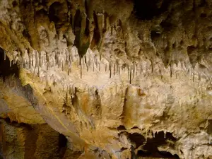 Barenhohle Sonnenbuhl