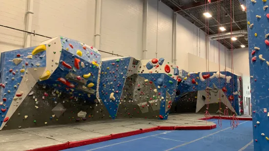 The Gravity Vault Indoor Rock Gyms