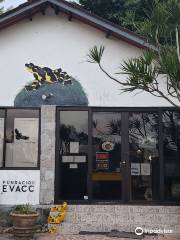 El Valle Amphibian Conservation Center Foundation (EVACC)