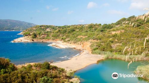 Spiaggia di Terranera