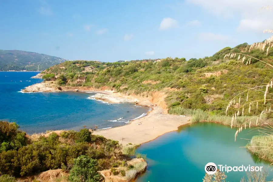 Spiaggia di Terranera