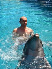 Kemer Dolphin park