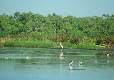 Kalamatiya Bird Sanctuary