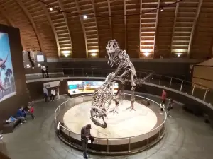 Jurassic Museum of Asturias