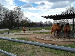 Mundenhof Tierpark