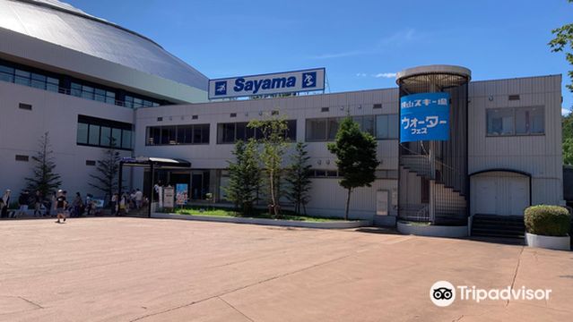 Sayama Ski Resort