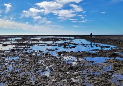 Los Corrales de Rota