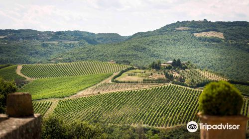 Cantine Neri