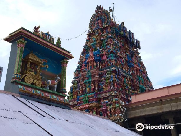 Arulmigu Sri Parthasarathyswamy Temple