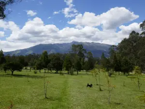 Parque Metropolitano de Quito