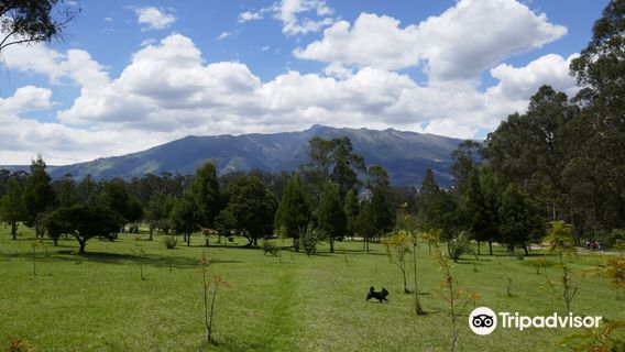 Parque Metropolitano de Quito