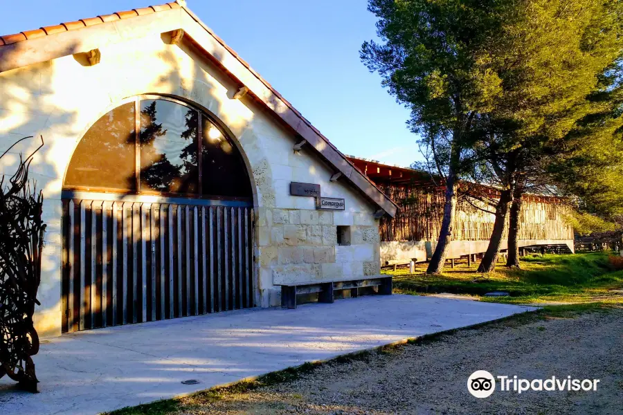 Museum of the Camargue