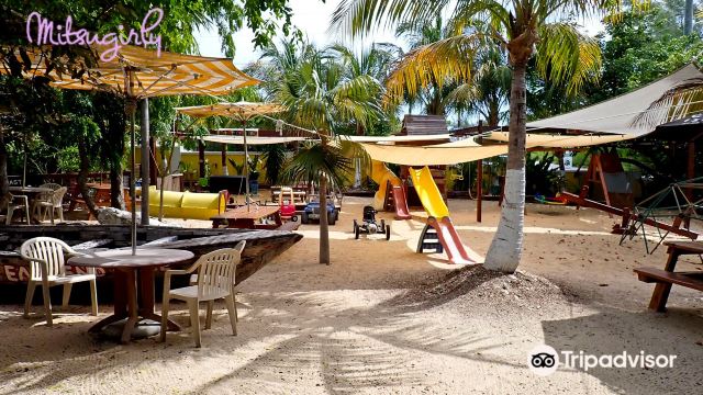 Cayman Parrot Sanctuary