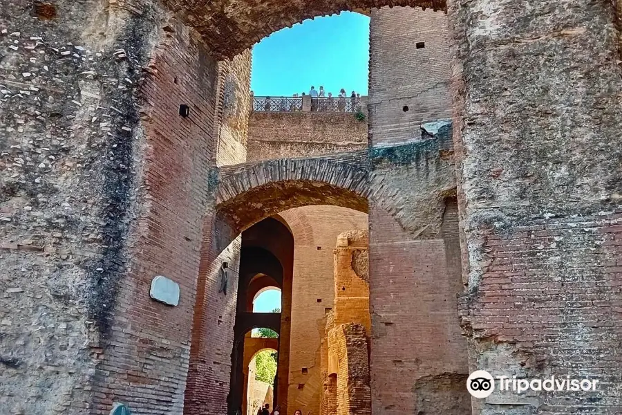 Domus Tiberiana - Roman Forums