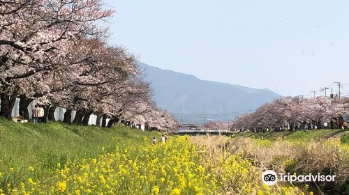 Sanagawa Embankment