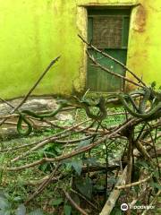 Reptile village in Entebbe