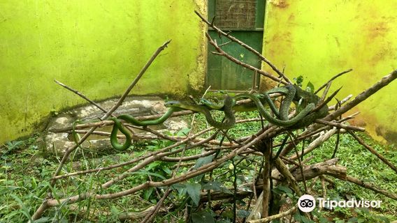 Reptile village in Entebbe