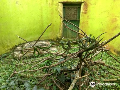 Reptile village in Entebbe