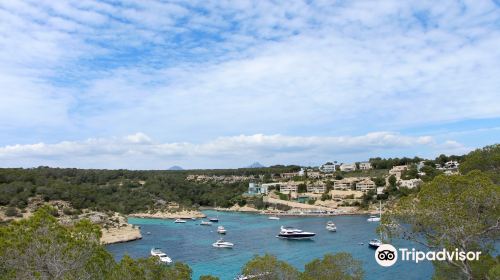 Playa Portals Vells