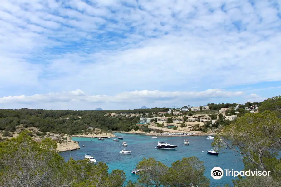 Playa Portals Vells